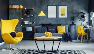 Home Décor and Furniture